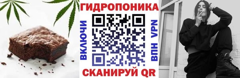 Canna-Cookies конопля  где найти   ссылка на мегу tor  Нюрба 