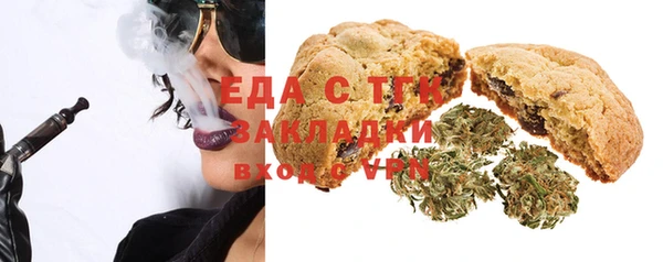 ECSTASY Алзамай