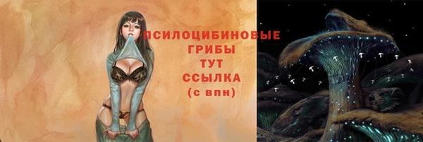 бошки Алексеевка