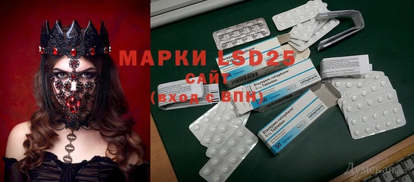 ECSTASY Алзамай